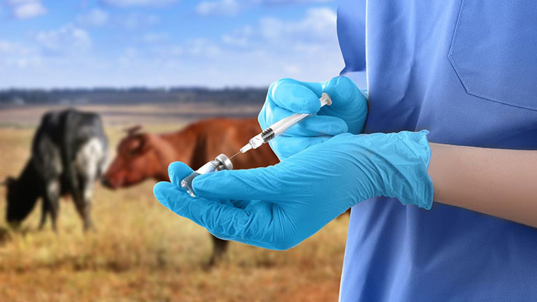 Al momento stai visualizzando Assistenza agro-sanitaria